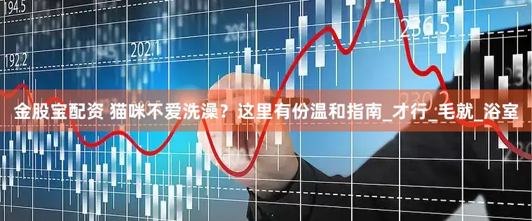 金股宝配资 猫咪不爱洗澡？这里有份温和指南_才行_毛就_浴室
