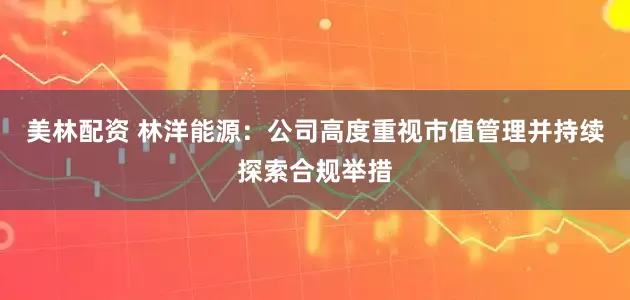 美林配资 林洋能源：公司高度重视市值管理并持续探索合规举措