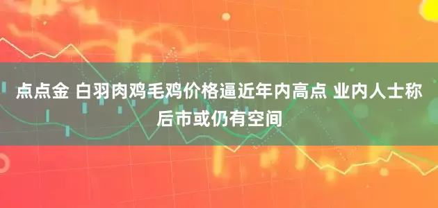 点点金 白羽肉鸡毛鸡价格逼近年内高点 业内人士称后市或仍有空间